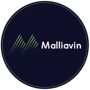 Malliavin: White labelled Analytics, DIY Tools for small agencies & independents