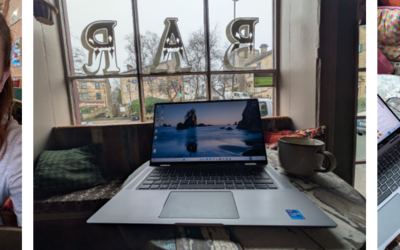 Conceiving business twins